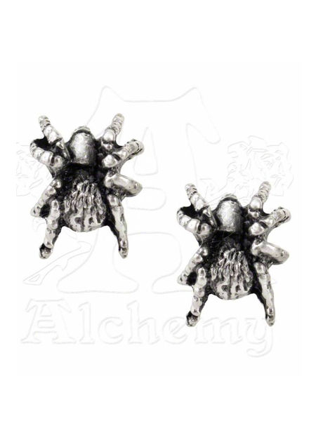 Black Widow Pewter Spider Studs by Alchemy Gothic