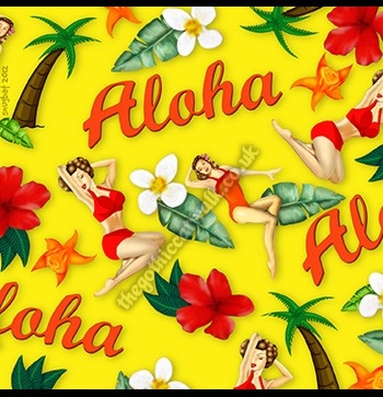 Pin Up Greetings Card - Aloha